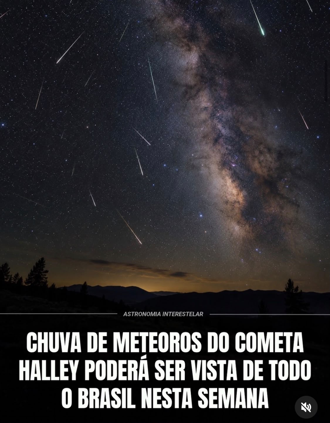 WhatsApp Image 2026-10-19 at 14.36.30.jpeg