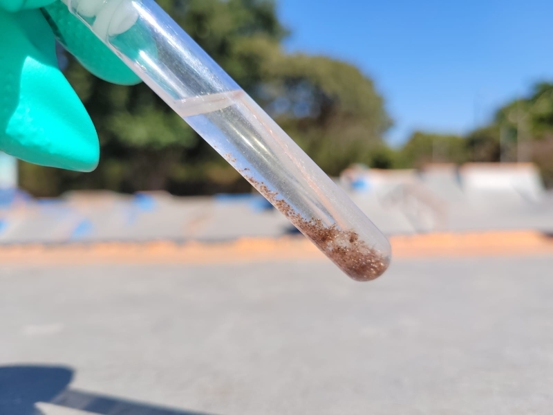 Divinópolis registra 12 notificações por febre maculosa em 2026