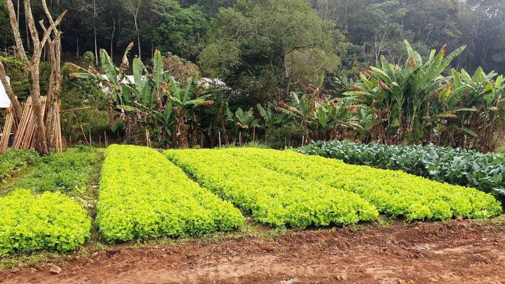 Sevar movimenta setor supermercadista em Divinópolis