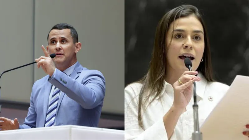 Quase 90% dos deputados estaduais de Minas disputam reeleição em outubro, aponta ALMG