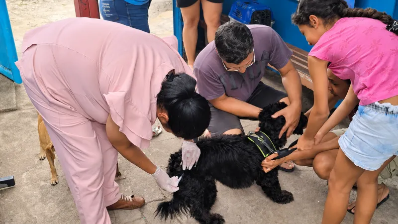 Mais de 10 mil cães e gatos são vacinados contra a raiva em Divinópolis