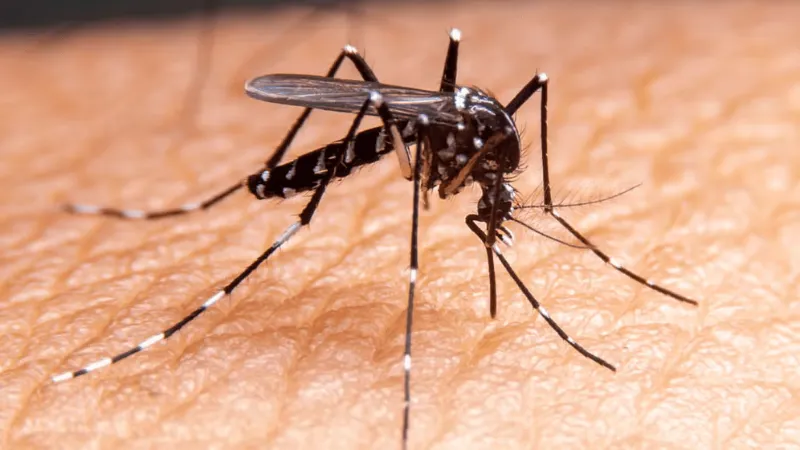 Queda na demanda encerra atividades de ambulatório de dengue em Divinópolis