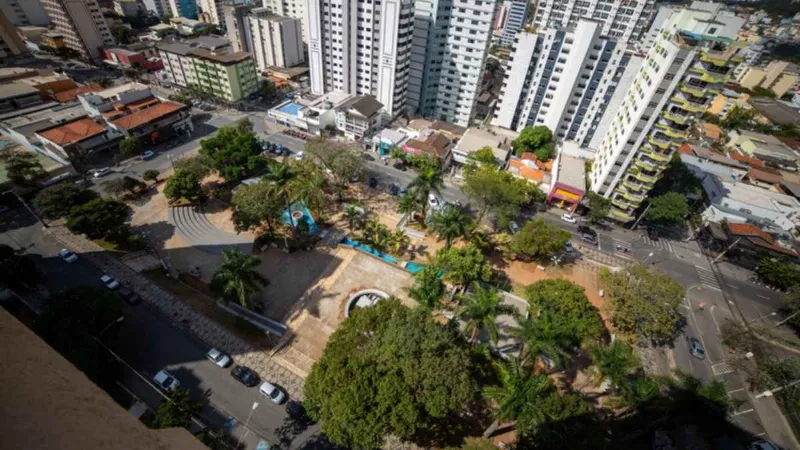 Divinópolis prepara plano para guiar plantio e reduzir cortes de árvores